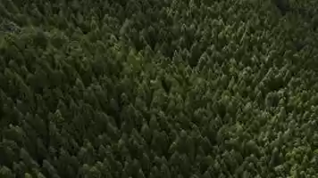 Free download DREAMBOX - Festival Trailer video and edit with RedcoolMedia movie maker MovieStudio video editor online and AudioStudio audio editor onlin