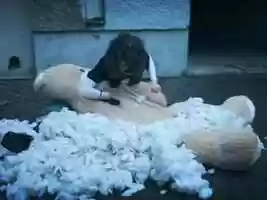 Free download Dream Extractor 3000 video and edit with RedcoolMedia movie maker MovieStudio video editor online and AudioStudio audio editor onlin