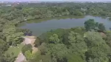 Free download Drone Swamp Low Res video and edit with RedcoolMedia movie maker MovieStudio video editor online and AudioStudio audio editor onlin