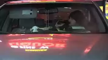 Free download Drunk Dog - trailer video and edit with RedcoolMedia movie maker MovieStudio video editor online and AudioStudio audio editor onlin