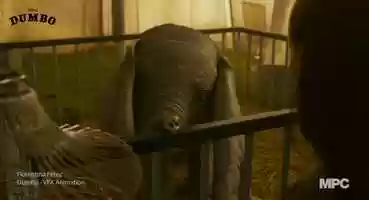 Free download Dumbo Animation 2018 video and edit with RedcoolMedia movie maker MovieStudio video editor online and AudioStudio audio editor onlin