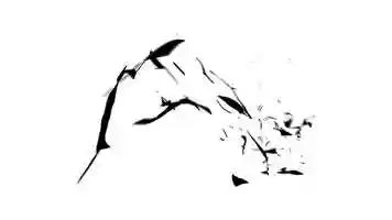 Free download Dysmorphophobie.mp4 video and edit with RedcoolMedia movie maker MovieStudio video editor online and AudioStudio audio editor onlin