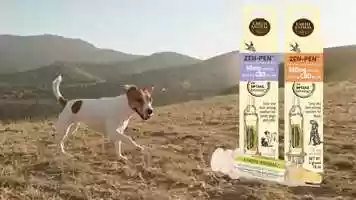 Free download Earth Animal Zen-Pen video and edit with RedcoolMedia movie maker MovieStudio video editor online and AudioStudio audio editor onlin