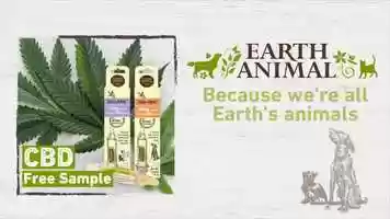 Free download Earth Animal Zen Pen on Pet Parade video and edit with RedcoolMedia movie maker MovieStudio video editor online and AudioStudio audio editor onlin