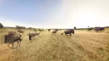 Free download EarthXR 2020 video and edit with RedcoolMedia movie maker MovieStudio video editor online and AudioStudio audio editor onlin