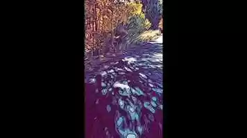 Free download Ebike Ride Animation video and edit with RedcoolMedia movie maker MovieStudio video editor online and AudioStudio audio editor onlin