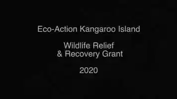 Free download Eco Action 1 video and edit with RedcoolMedia movie maker MovieStudio video editor online and AudioStudio audio editor onlin