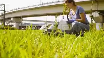Free download Ecologist Does Research Stock Video video and edit with RedcoolMedia movie maker MovieStudio video editor online and AudioStudio audio editor onlin