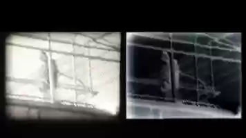 Free download Eco-Processing for SFSU Material Cinema.mp4 video and edit with RedcoolMedia movie maker MovieStudio video editor online and AudioStudio audio editor onlin