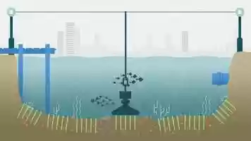 Free download ecoSPEARS | IgniteX 2019 Cohort video and edit with RedcoolMedia movie maker MovieStudio video editor online and AudioStudio audio editor onlin