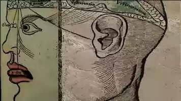 Free download Eksperimentalna forma // Experimental form - Vasily Kuzmich (Mentorica // Mentor: Valerie Wolf Gang) video and edit with RedcoolMedia movie maker MovieStudio video editor online and AudioStudio audio editor onlin