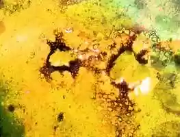 Free download Elemental Correspondence (excerpt) video and edit with RedcoolMedia movie maker MovieStudio video editor online and AudioStudio audio editor onlin