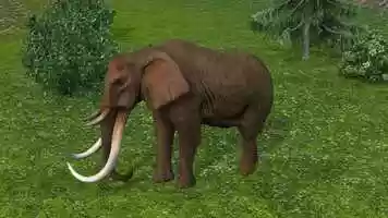 Free download elephent animation video and edit with RedcoolMedia movie maker MovieStudio video editor online and AudioStudio audio editor onlin