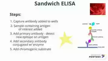 Free download ELISA Pre-Lab (10.a) video and edit with RedcoolMedia movie maker MovieStudio video editor online and AudioStudio audio editor onlin