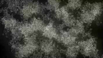 Free download Emergent-Animation-glow (development) video and edit with RedcoolMedia movie maker MovieStudio video editor online and AudioStudio audio editor onlin