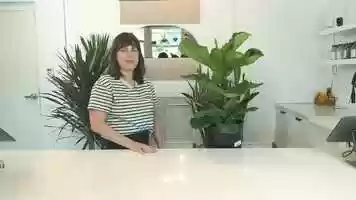 Free download Encyclo Fiddle Leaf v3 - music video and edit with RedcoolMedia movie maker MovieStudio video editor online and AudioStudio audio editor onlin