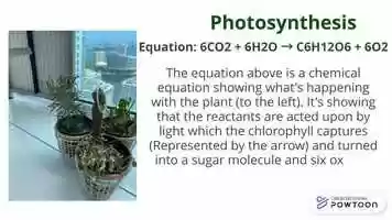 Free download Energy Summative video and edit with RedcoolMedia movie maker MovieStudio video editor online and AudioStudio audio editor onlin