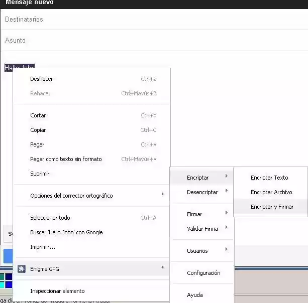 Download web tool or web app EnigmaGPG Community Download web tool or web app EnigmaGPG Community