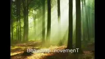 Free download Equanimity - Beaucoup movemenT video and edit with RedcoolMedia movie maker MovieStudio video editor online and AudioStudio audio editor onlin
