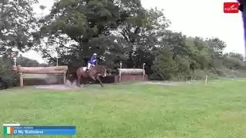 Free download EQUIREEL 79  Alison Holden  O My Balladeer at Fernhill Sport Horses Mallow (Kilguilkey) International 2019 video and edit with RedcoolMedia movie maker MovieStudio video editor online and AudioStudio audio editor onlin