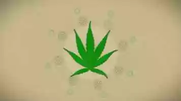 Free download Ergogenics HEMP Protein. KING of the PLANT Kingdom! video and edit with RedcoolMedia movie maker MovieStudio video editor online and AudioStudio audio editor onlin