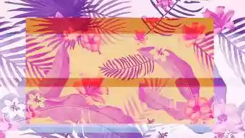 Free download Eri Hall 2020 Demo Reel video and edit with RedcoolMedia movie maker MovieStudio video editor online and AudioStudio audio editor onlin