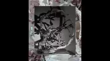Free download Escape / Oblivion / Grace video and edit with RedcoolMedia movie maker MovieStudio video editor online and AudioStudio audio editor onlin
