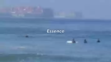 Free download Essence video and edit with RedcoolMedia movie maker MovieStudio video editor online and AudioStudio audio editor onlin