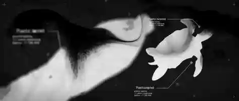 Free download Essence VR Game Animation Sequenz video and edit with RedcoolMedia movie maker MovieStudio video editor online and AudioStudio audio editor onlin