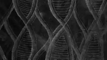 Free download Eternity Music Video by Yeaeun Jang video and edit with RedcoolMedia movie maker MovieStudio video editor online and AudioStudio audio editor onlin