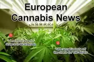 Free download European Marijuana Business News and Updates video and edit with RedcoolMedia movie maker MovieStudio video editor online and AudioStudio audio editor onlin