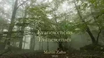 Free download EVANESCENCIAS/EVANESCENCES video and edit with RedcoolMedia movie maker MovieStudio video editor online and AudioStudio audio editor onlin