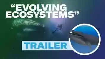 Free download Evolving Ecosystems video and edit with RedcoolMedia movie maker MovieStudio video editor online and AudioStudio audio editor onlin