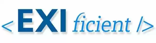 Download web tool or web app EXIficient Download web tool or web app EXIficient