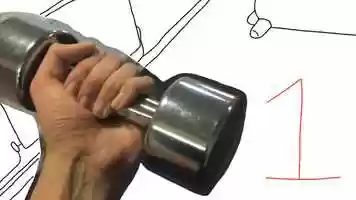 Free download Experimental Animation Week 5 Task - Animated Journeys video and edit with RedcoolMedia movie maker MovieStudio video editor online and AudioStudio audio editor onlin