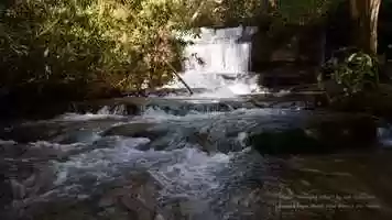 Free download Exploring Crow Creek (4K) video and edit with RedcoolMedia movie maker MovieStudio video editor online and AudioStudio audio editor onlin