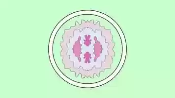 Free download Exquisite Shell video and edit with RedcoolMedia movie maker MovieStudio video editor online and AudioStudio audio editor onlin