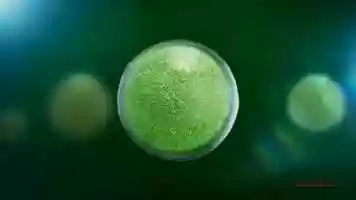 Free download Exxon_GrowingFuel video and edit with RedcoolMedia movie maker MovieStudio video editor online and AudioStudio audio editor onlin