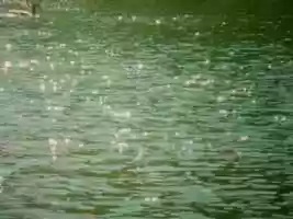 Free download Ezra Feinberg - Palms Up (Official Music Video) video and edit with RedcoolMedia movie maker MovieStudio video editor online and AudioStudio audio editor onlin