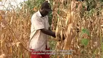 Free download Fall Army Worm Alert Service video and edit with RedcoolMedia movie maker MovieStudio video editor online and AudioStudio audio editor onlin