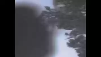 Free download FALLENFATHER video and edit with RedcoolMedia movie maker MovieStudio video editor online and AudioStudio audio editor onlin