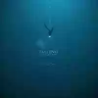 Free download FALLING TO THE BOTTOM... AND GETTING BACK video and edit with RedcoolMedia movie maker MovieStudio video editor online and AudioStudio audio editor onlin