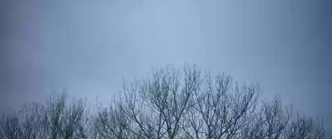 Free download Father - Teaser video and edit with RedcoolMedia movie maker MovieStudio video editor online and AudioStudio audio editor onlin