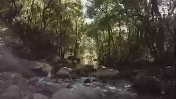 Free download Fatihah Surah video and edit with RedcoolMedia movie maker MovieStudio video editor online and AudioStudio audio editor onlin