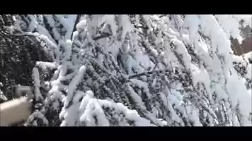 Free download February 26 2018, Rome video and edit with RedcoolMedia movie maker MovieStudio video editor online and AudioStudio audio editor onlin