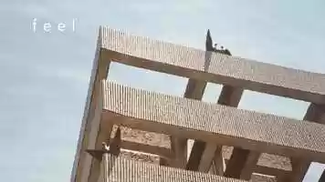 Free download f e e l video and edit with RedcoolMedia movie maker MovieStudio video editor online and AudioStudio audio editor onlin