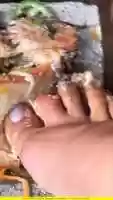Free download Feet Fucking Food S2 EP15 Lets do it live, in public. video and edit with RedcoolMedia movie maker MovieStudio video editor online and AudioStudio audio editor onlin