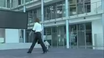 Free download Festos Bionic Kangaroo a robot that behaves like .. video and edit with RedcoolMedia movie maker MovieStudio video editor online and AudioStudio audio editor onlin