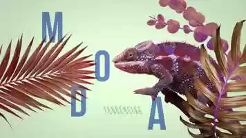 Free download FF INTRO video and edit with RedcoolMedia movie maker MovieStudio video editor online and AudioStudio audio editor onlin