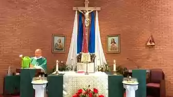 Free download Fifteenth Sunday in Ordinary Time video and edit with RedcoolMedia movie maker MovieStudio video editor online and AudioStudio audio editor onlin